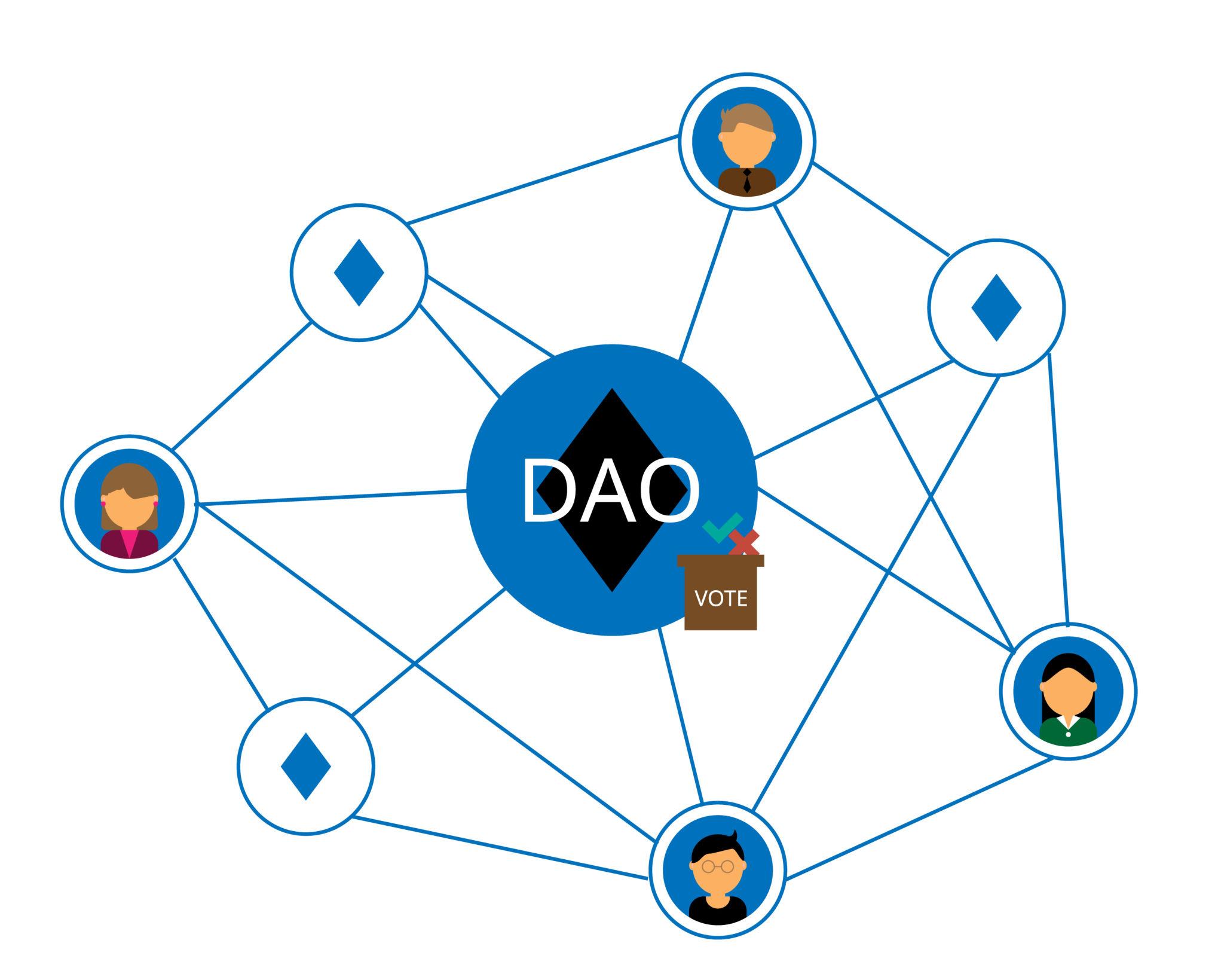 DAO Network Structure